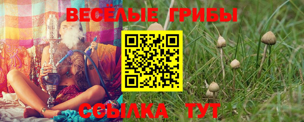 Псилоцибиновые грибы GOLDEN TEACHER Гудермес