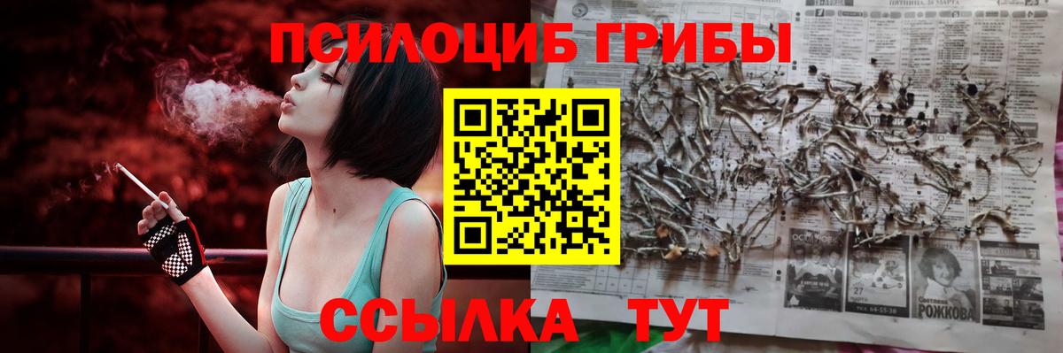 Гудермес  Галлюциногенные грибы ЛСД  Вход с VPN 